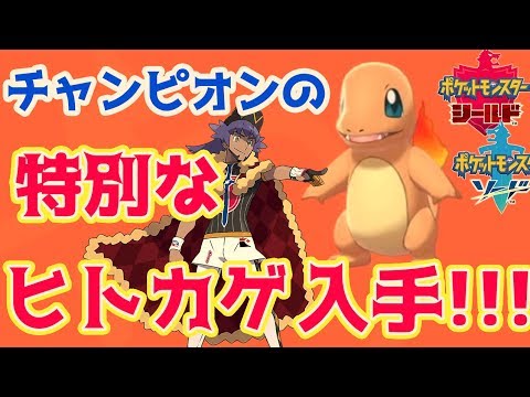 チャンピオンの特別なヒトカゲ入手場所【Pokemon/ポケットモンスター剣盾/ポケモンソードシールド攻略】