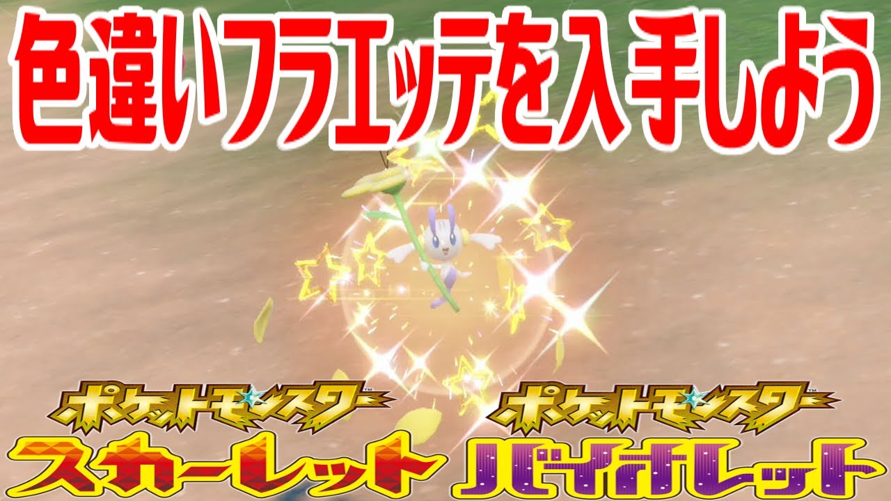 【ポケモンSV】色違いフラエッテ(きいろのはな)を入手しよう【ポケットモンスター スカーレット・バイオレット】Pocket Monsters
