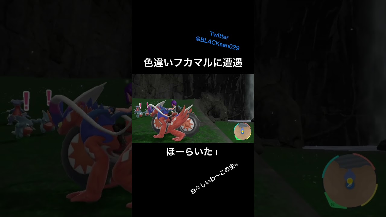 【ポケモンSV】色違いフカマルに遭遇〜 #ポケモンsv #色違い #ポケットモンスター #色違い厳選 #shorts