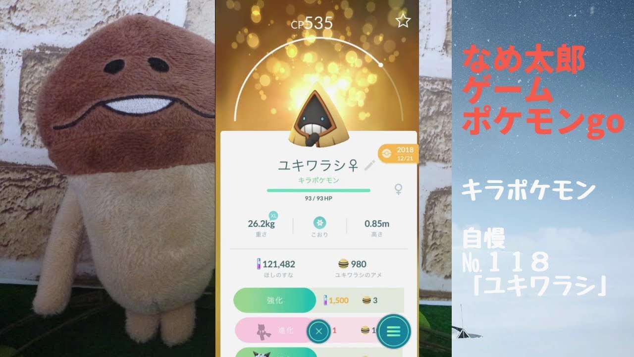 なめ太郎のキラポケモン自慢コーナーナンバー１１８、「ユキワラシ♀」【ポケモンgo】
