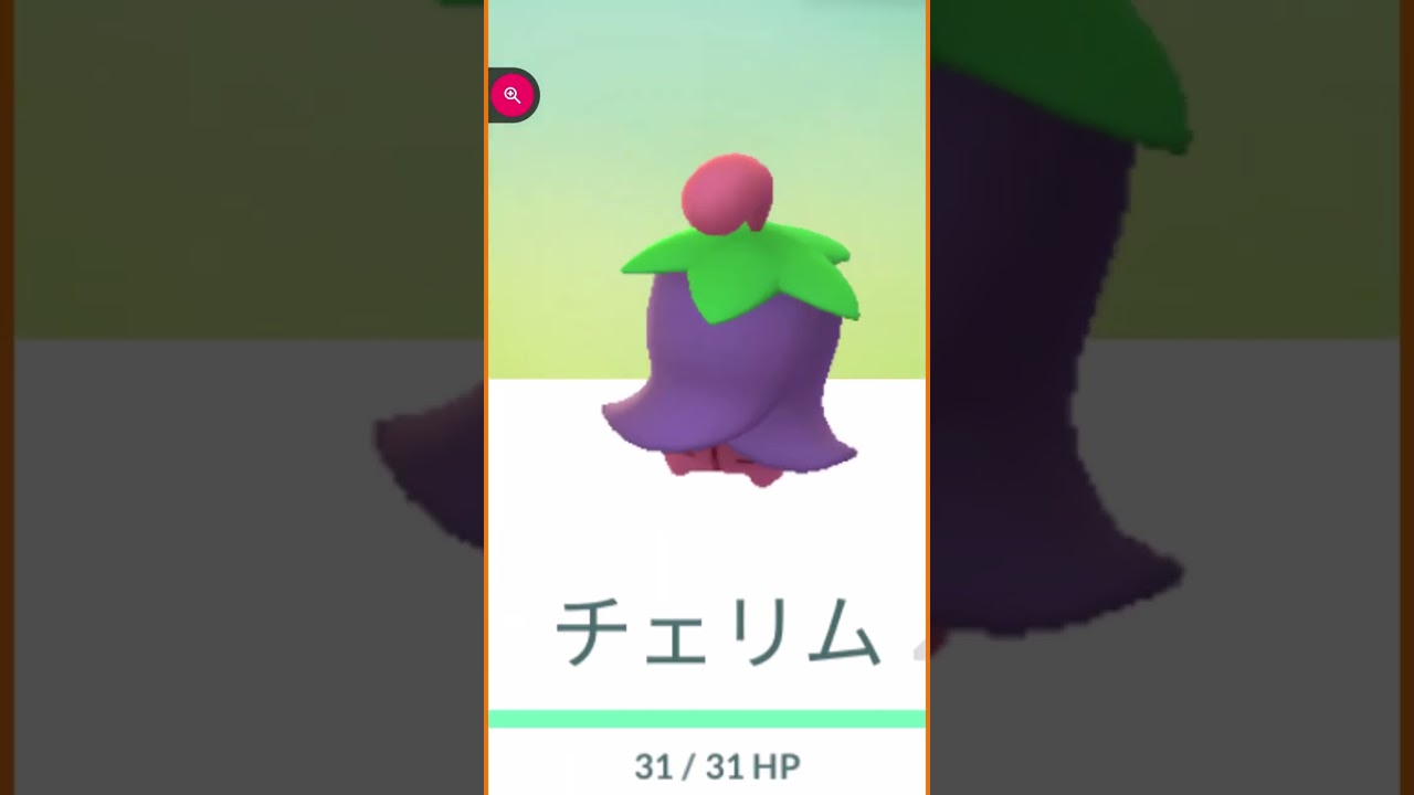 ＃shorts◇雨降りの中のチェリム【ネガフォルム】ネガってネガティブのネガで、晴れてる時に出現する【ポジフォルム】はポジティブのポジってことになるのかな・・ご存じの方いませんか？＃410