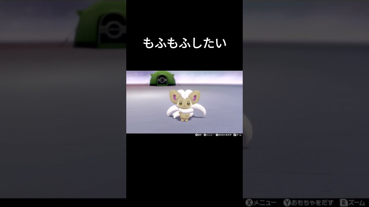 【ポケモン剣盾】チラチーノ可愛すぎ【色違い】