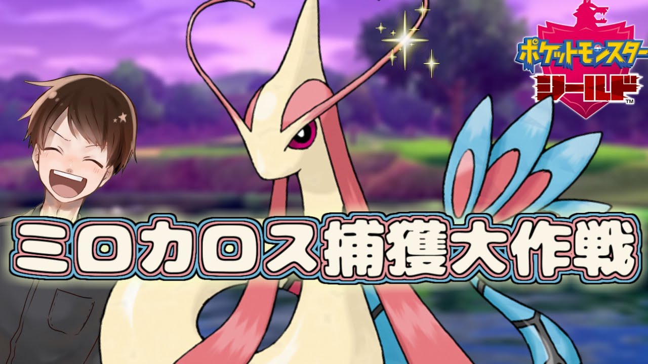 【ポケモン剣盾】ミロカロス捕獲大作戦　♂♀