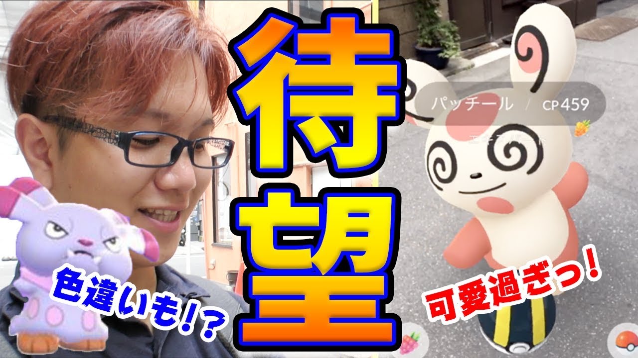 パッチール実装キタ!!新色違いもこっそり追加されてる件【ポケモンGO】