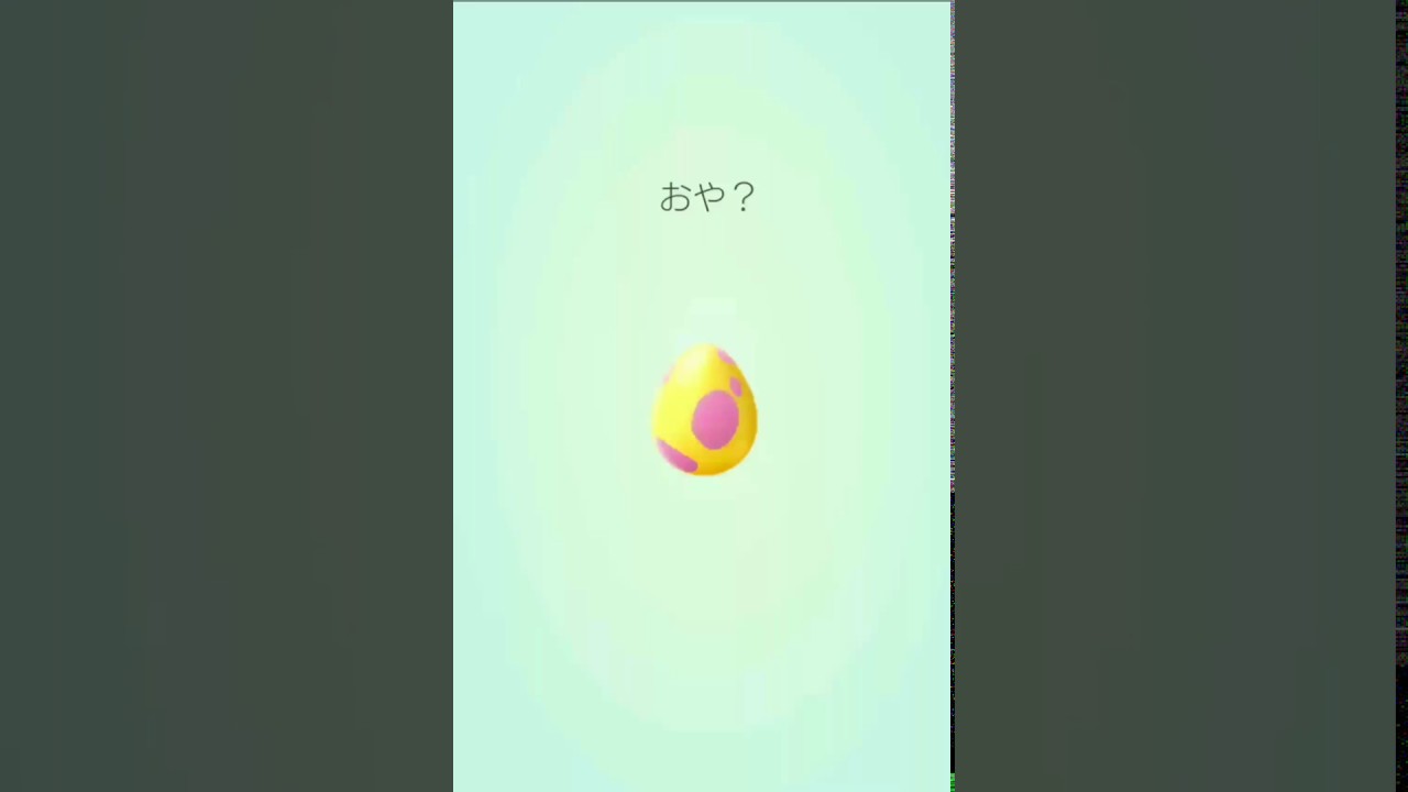 【Pokemon GO】7kたまご　こんどこそ！(ﾟ◇ﾟ)ｶﾞｰﾝ1番ガッカリ。。