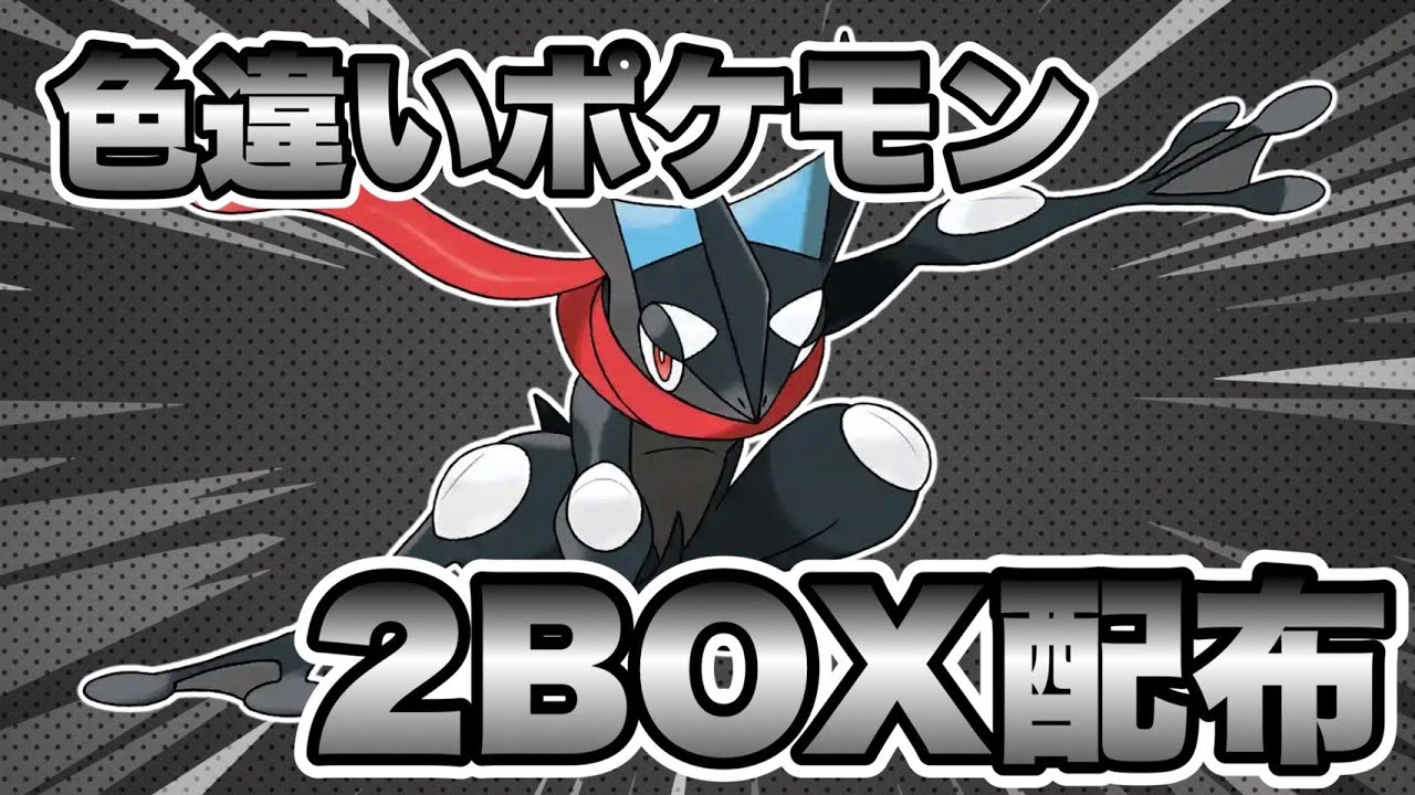 【ポケモンsv】ゾロアーく色違い配布企画＆ケロマツ孵化厳選【スカーレット/バイオレット】