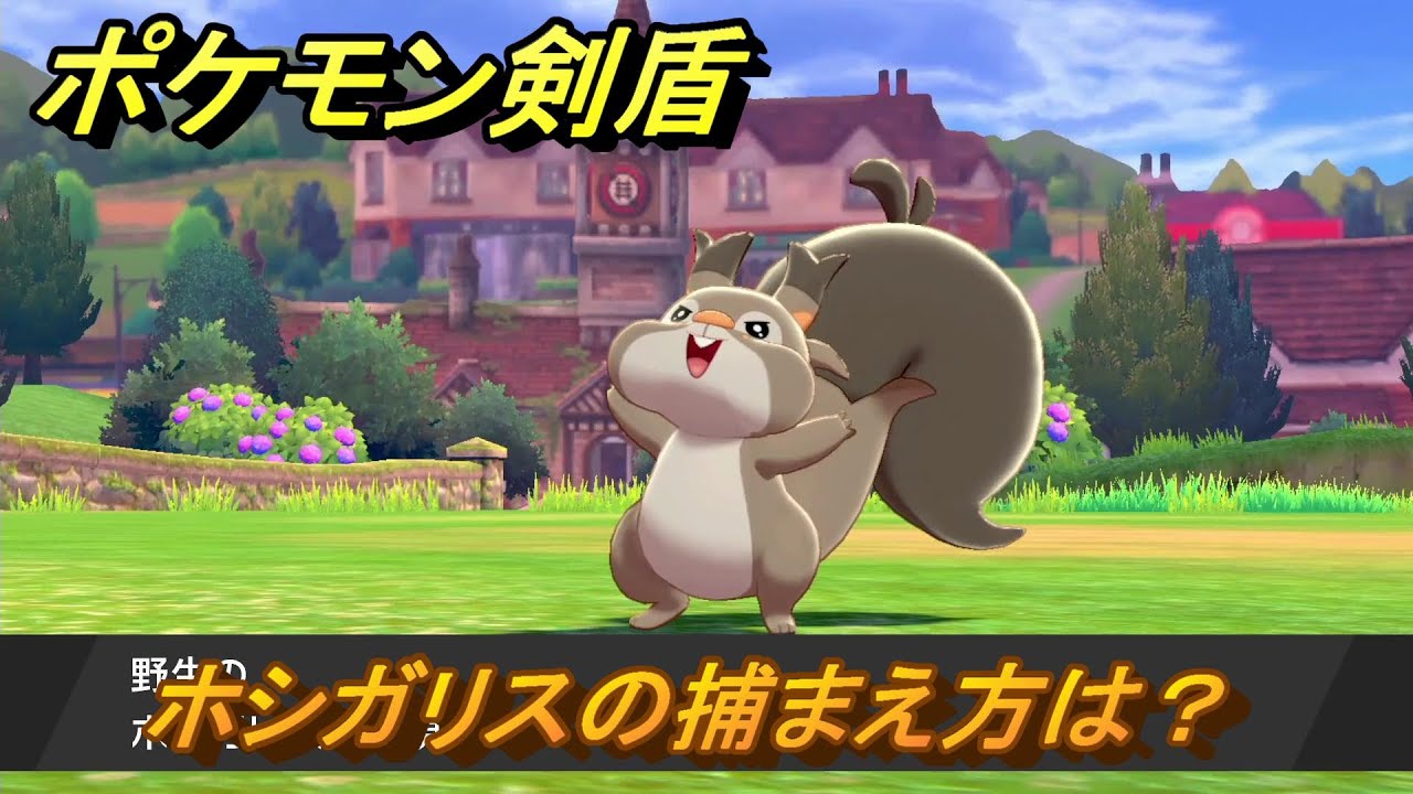 ポケモン剣盾　ホシガリスの出現場所は？オススメの場所は？天気は？ポケモン図鑑コンプへの道！　最新版【ポケモンソード・シールド】