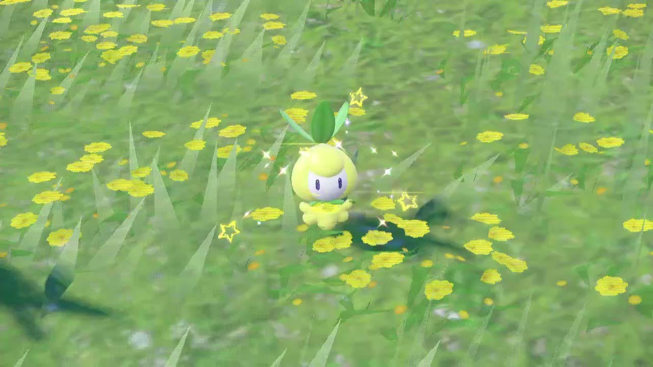 【ポケモンSV】チュリネ  色違い