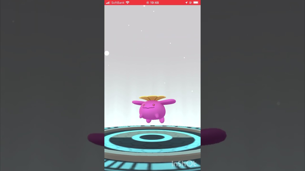 色違いのハネッコをワタッコに進化させてみた！ #ポケモンgo #pokemongo #色違い #shorts