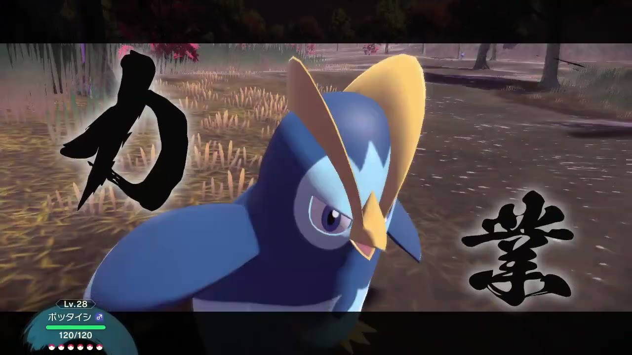 【ポケモンLA】ポッタイシvsオヤブンウソッキー