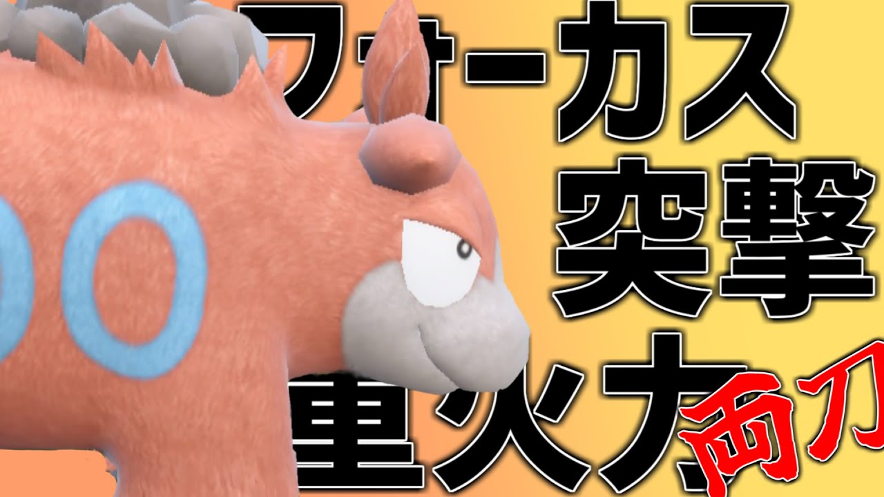 今、上位で流行中のフォーカス突撃重火力両刀"バクーダ"【ポケモンSV】【ラクーダ】