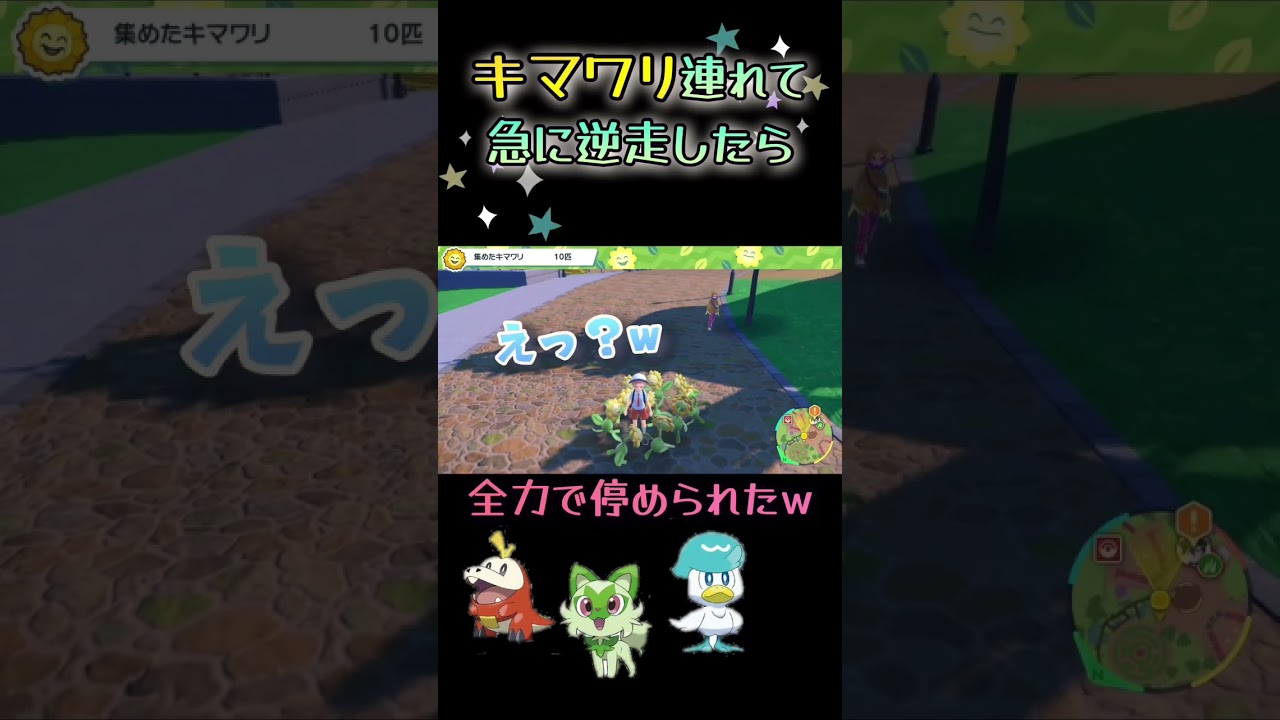 【ポケモンsv】小ネタwキマワリ陣営めっちゃスゴイからw