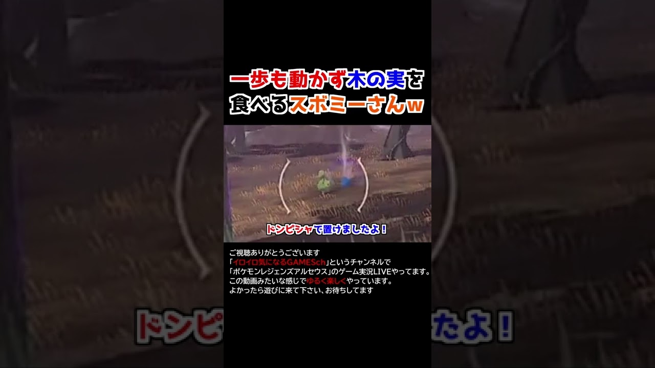 一歩も動かずに木の実を食べるスボミーさんｗｗ【Pokémon LEGENDS アルセウス】