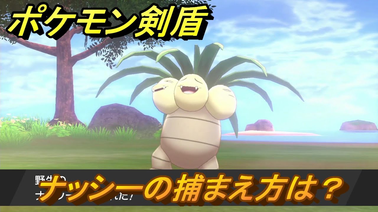 ポケモン剣盾　ナッシーを捕まえる方法！オススメの場所は？天気は？ポケモン図鑑コンプへの道！　最新版【ポケモンソード・シールド】