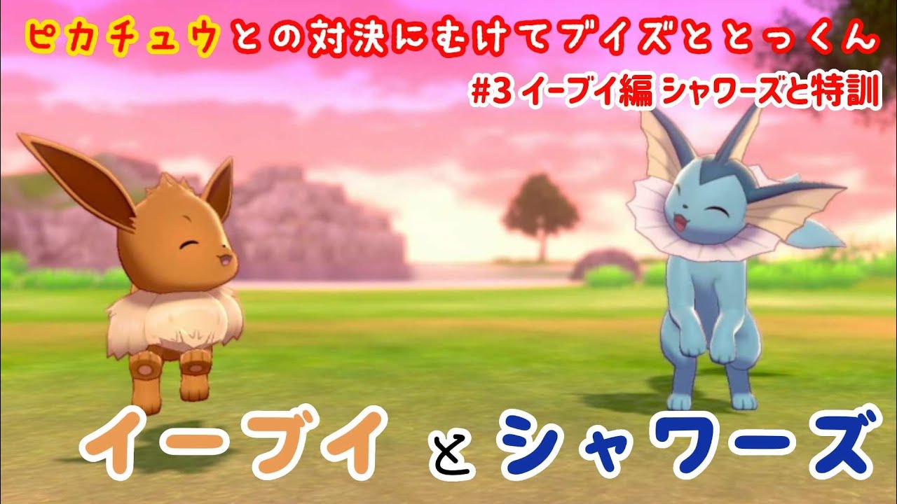 イーブイとシャワーズ♪ イーブイ シャワーズ ピカチュウ 【ピカVSブイ】