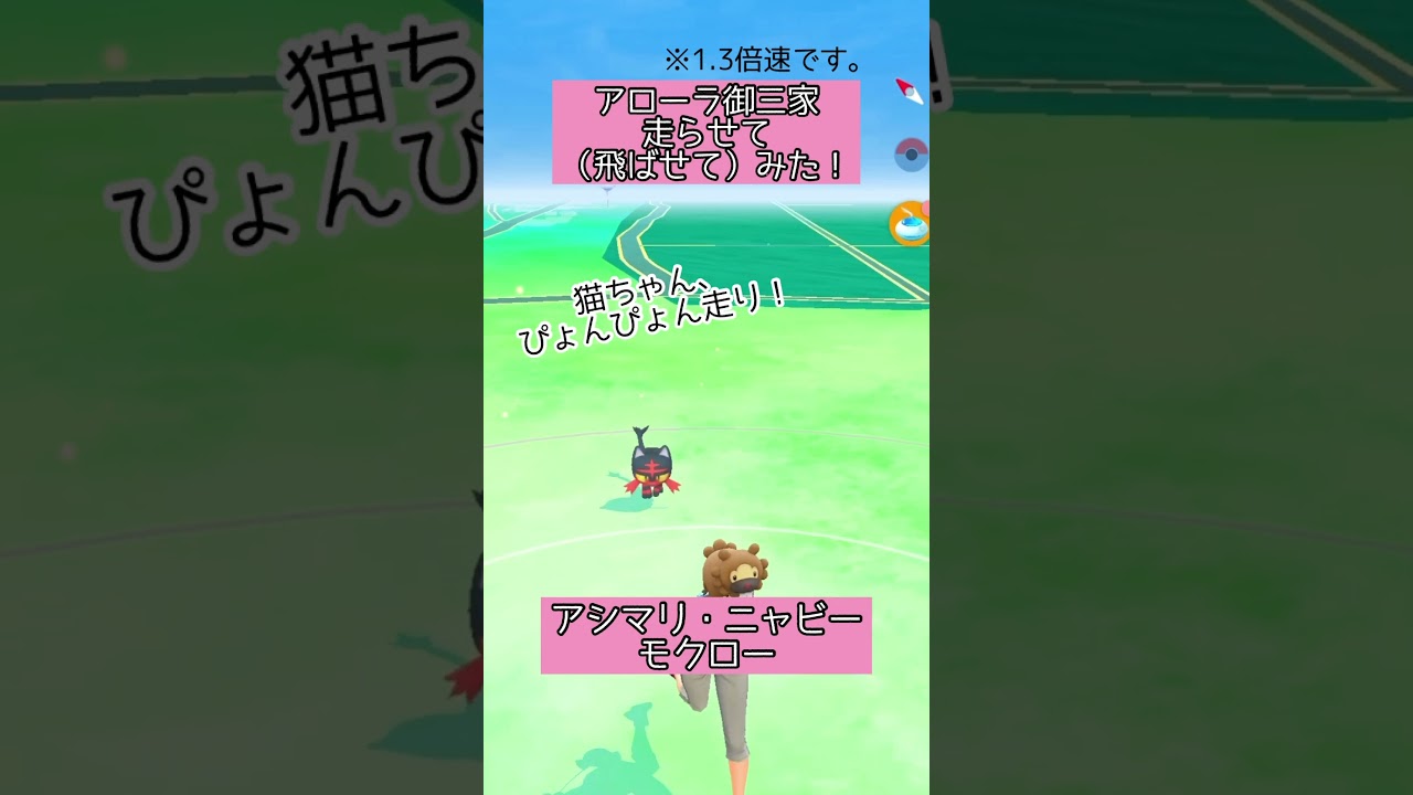 【ポケモンGO】#18 相棒ポケモンの移動する姿が好き♪(アシマリ・ニャビー・モクロー)【PokémonGO】 #shorts