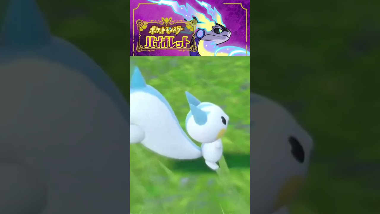 【ポケモンSV】パチリスさん…