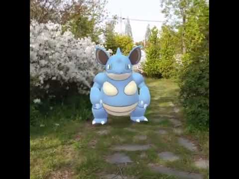 니드퀸 ( Nidoqueen ) ニドクイン ( 尼多后 )