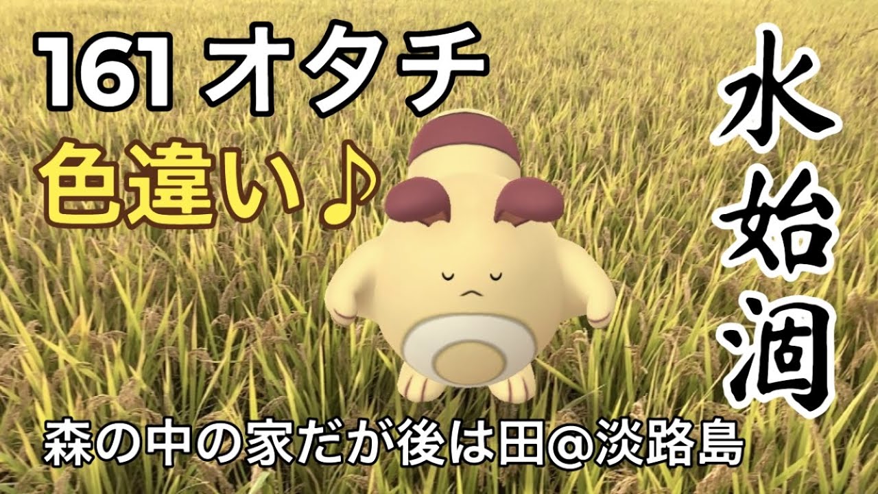 【ポケGO動くポケモンずかん】161オタチ｜Sentret｜ShinyPokémon｜水始涸（みずはじめてかるる）｜七十二候｜第四十八候｜AR動画｜PoKeMoN GO AR