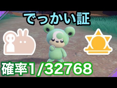 【色証】最大サイズのダブル証色違いヒメグマを厳選！【ポケットモンスタースカーレット・バイオレット/SV】