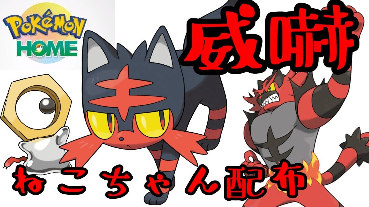 【ポケモンHOME】威嚇フル遺伝ニャビー配布【ポケモン剣盾】