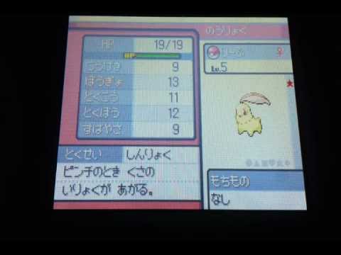 【固定リセット】色違いチコリータゲット！