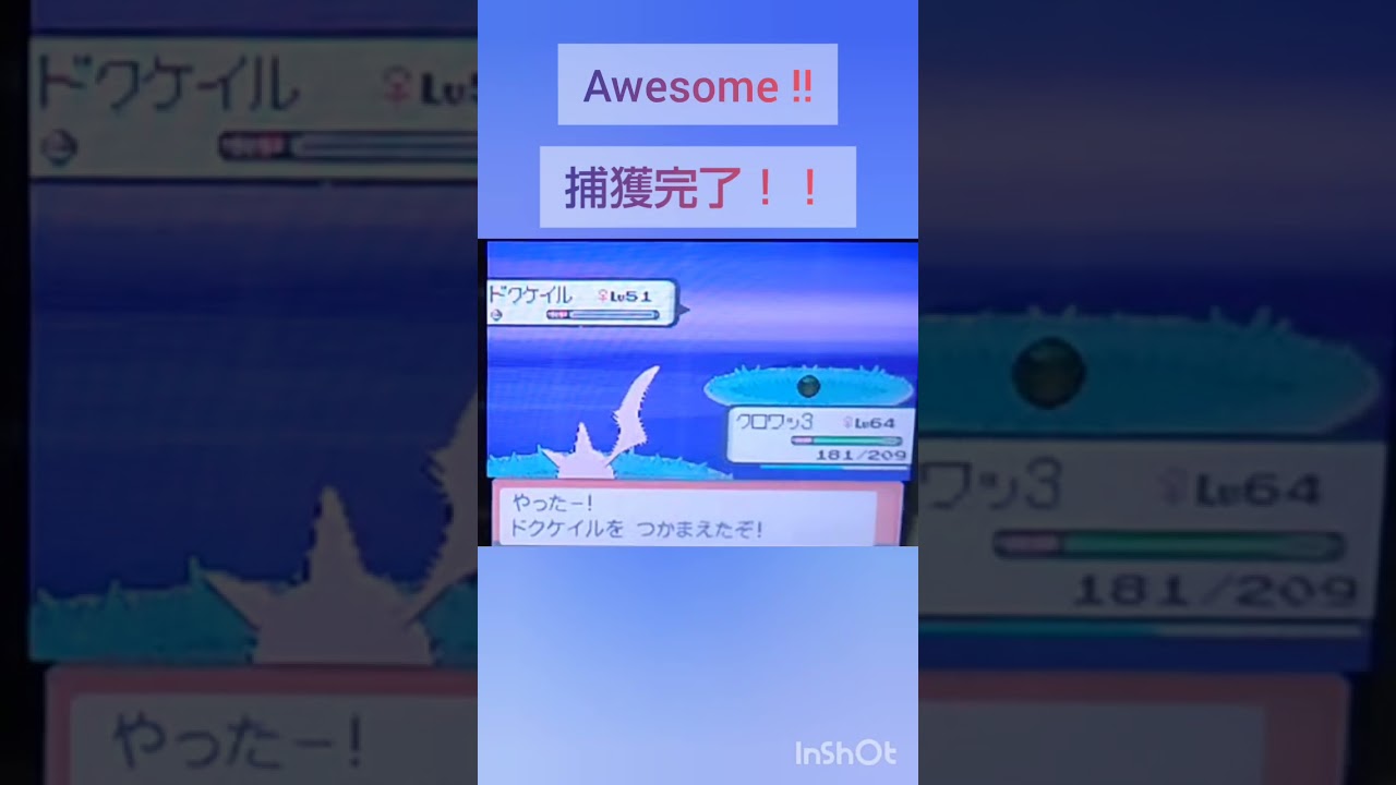 【ポケモンDP】色違い捕獲日記　23日目　ドクケイル　【PokémonDP】The diary Capturing shiny Pokémon's.　Day23　Dustox　#shorts