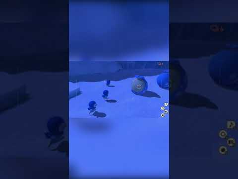 【Newポケモンスナップ NEW POKÉMON SNAP】ポッチャマとタマザラシがかけっこする動画 #shorts