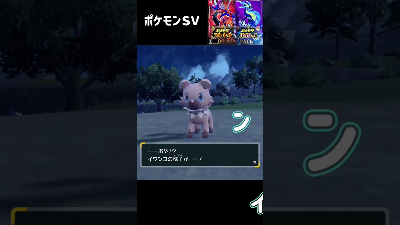 イワンコ進化　ルガルガン　ポケモンSV