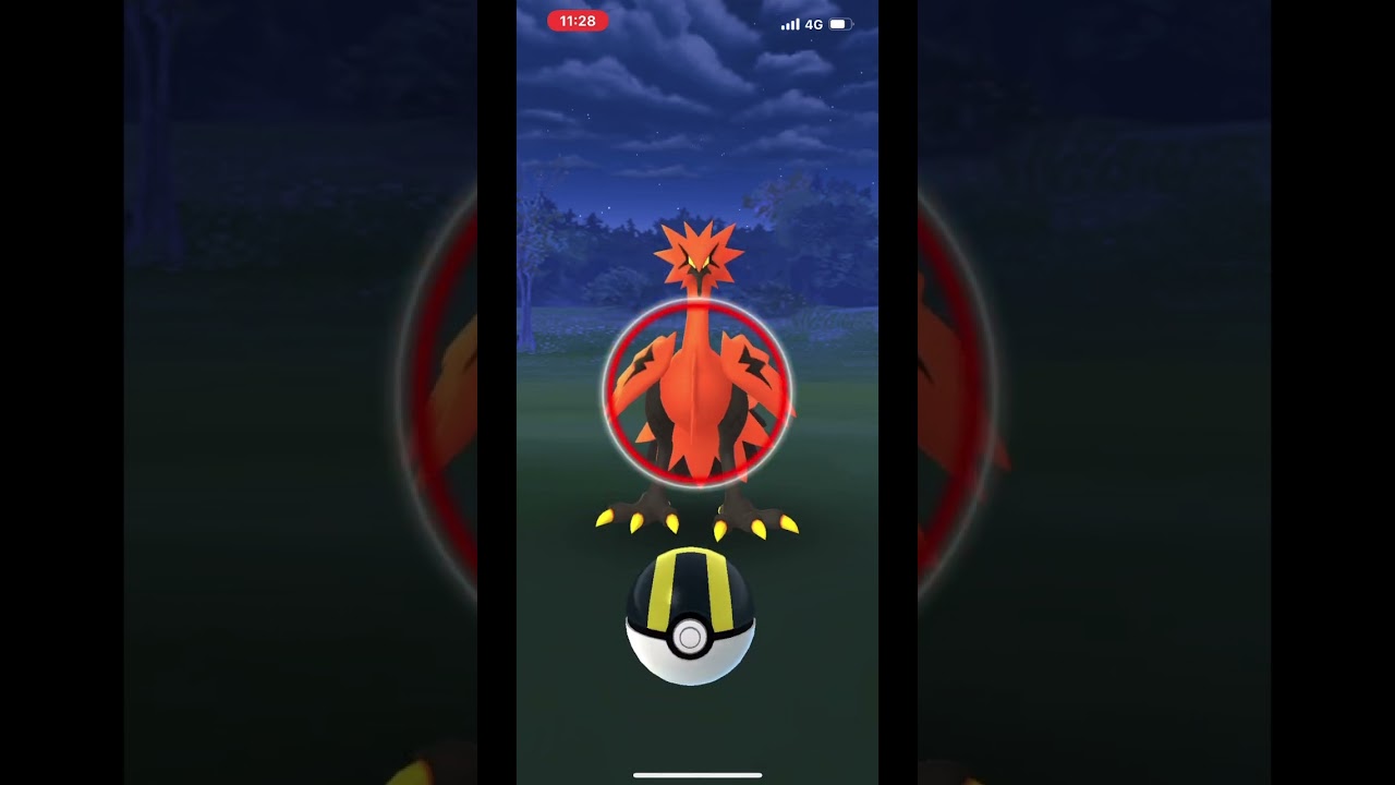 三度目のガラルサンダー！三度目の正直なるか！？ ポケモンGO #pokemongo #ポケモンgo #ガラルサンダー