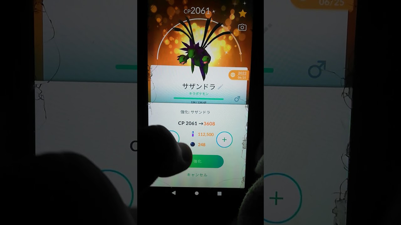 今日、ポケモンGOの本垢で色違いサザンドラの強化レベルは、40になりました。
