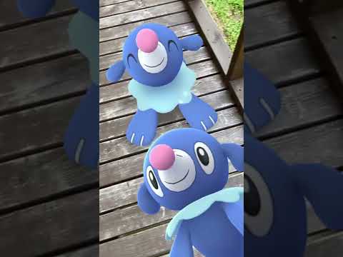 アシマリ｜Popplio｜フォトボム｜GOphotobomb【ポケモンGO】AR動画｜PoKeMoN GO AR｜#Shorts