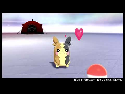 ただ、モルペコがかわいいだけの動画 #shorts