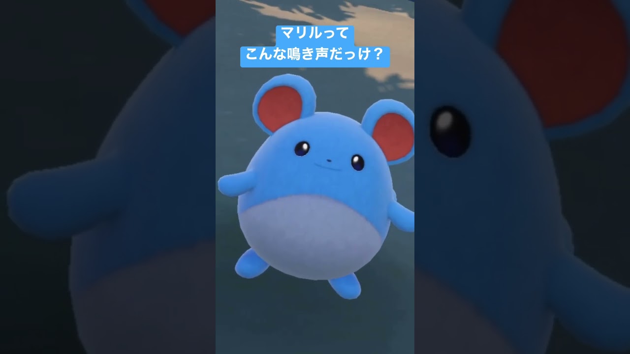 マリルってこんな鳴き声だっけ？わかる方いますか？【ポケモンSV】