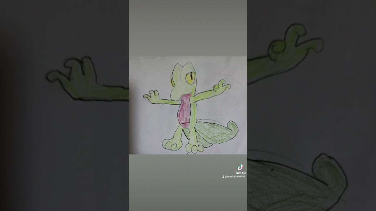 キモリ再投稿してみた