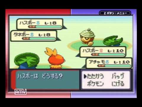 ポケモンサファイア縛り実況プレイ part3「青ずくめの団員」