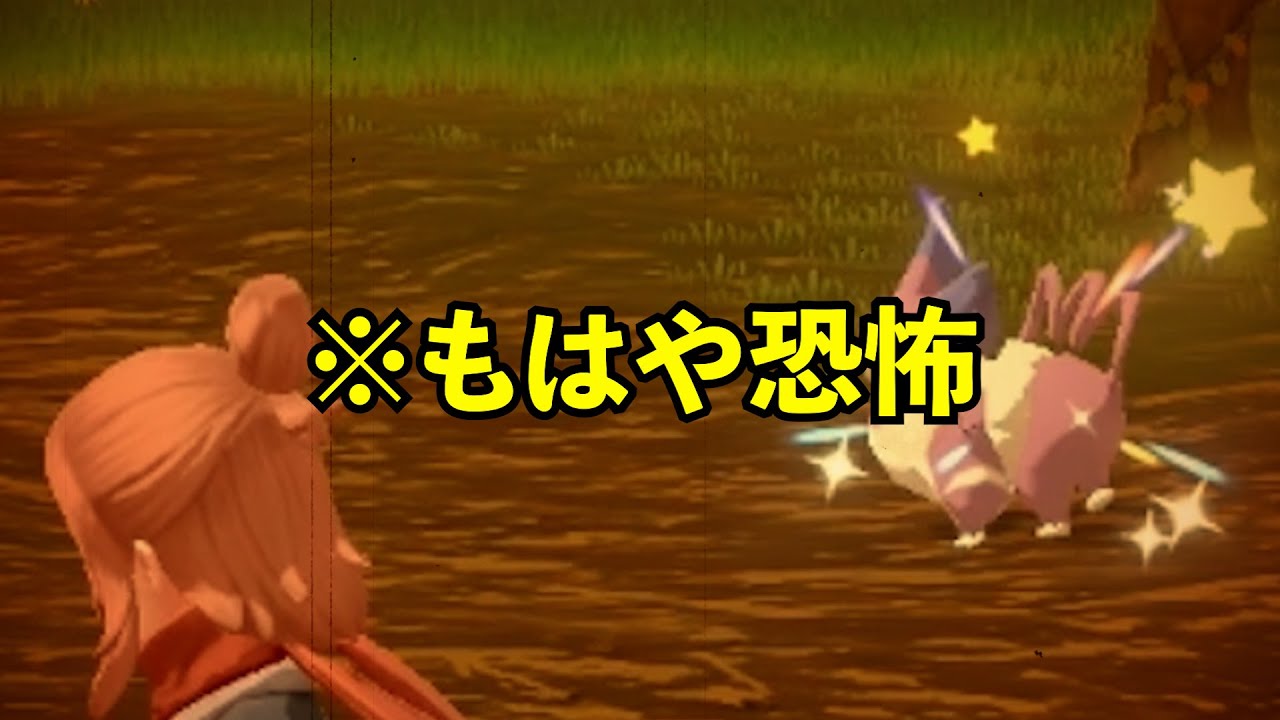 アルセウスで色違いを出し過ぎた結果