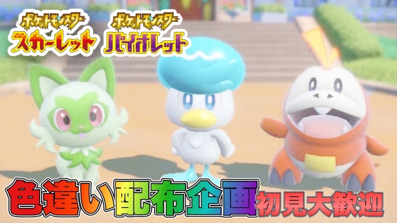 【ポケモンsv】色違い配布企画　ケロマツgetするぞ！【スカーレット/バイオレット】