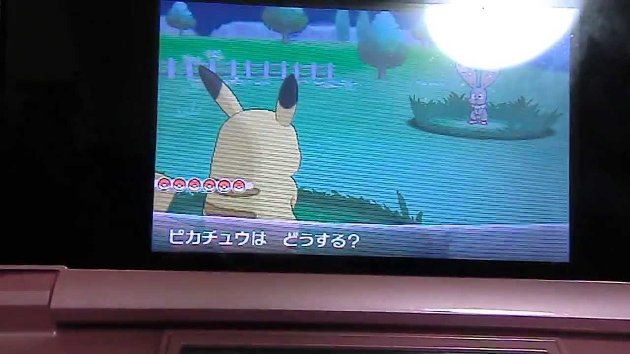 ポケットモンスターX・Y 色違いのホルビーをgetする動画【ポケトレ産】