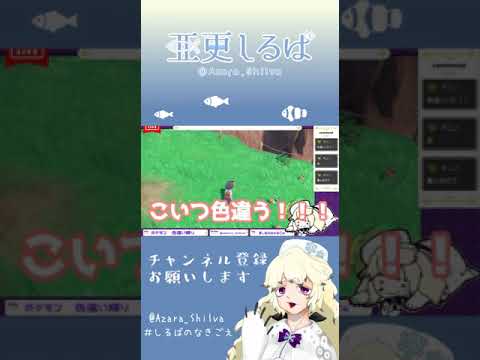 ヤヤコマ見付けた！#vtuber #pokemon  #shinypokemon  #shorts