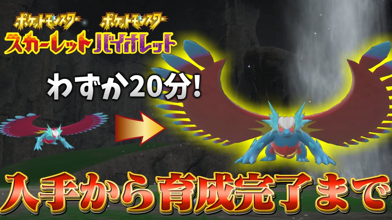 【トドロクツキ 育成論 ポケモンsv】古代ボーマンダが初心者でもランク対戦で使える最強のトドロクツキになります！(ポケモンスカーレットバイオレット)