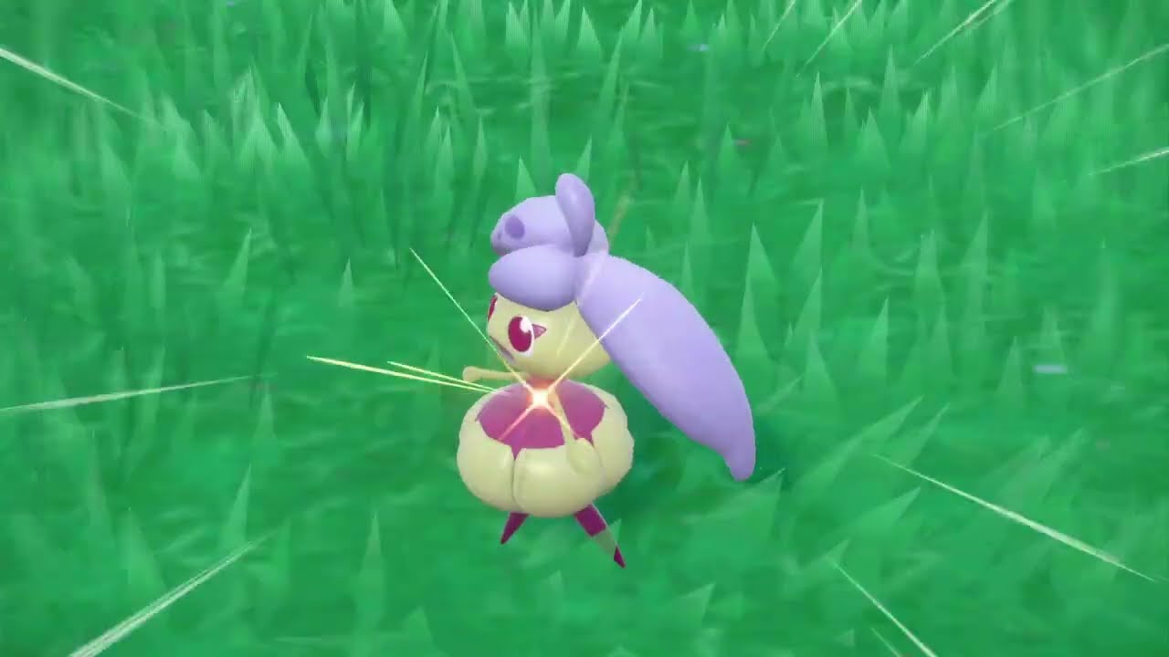 アママイコ　色違い