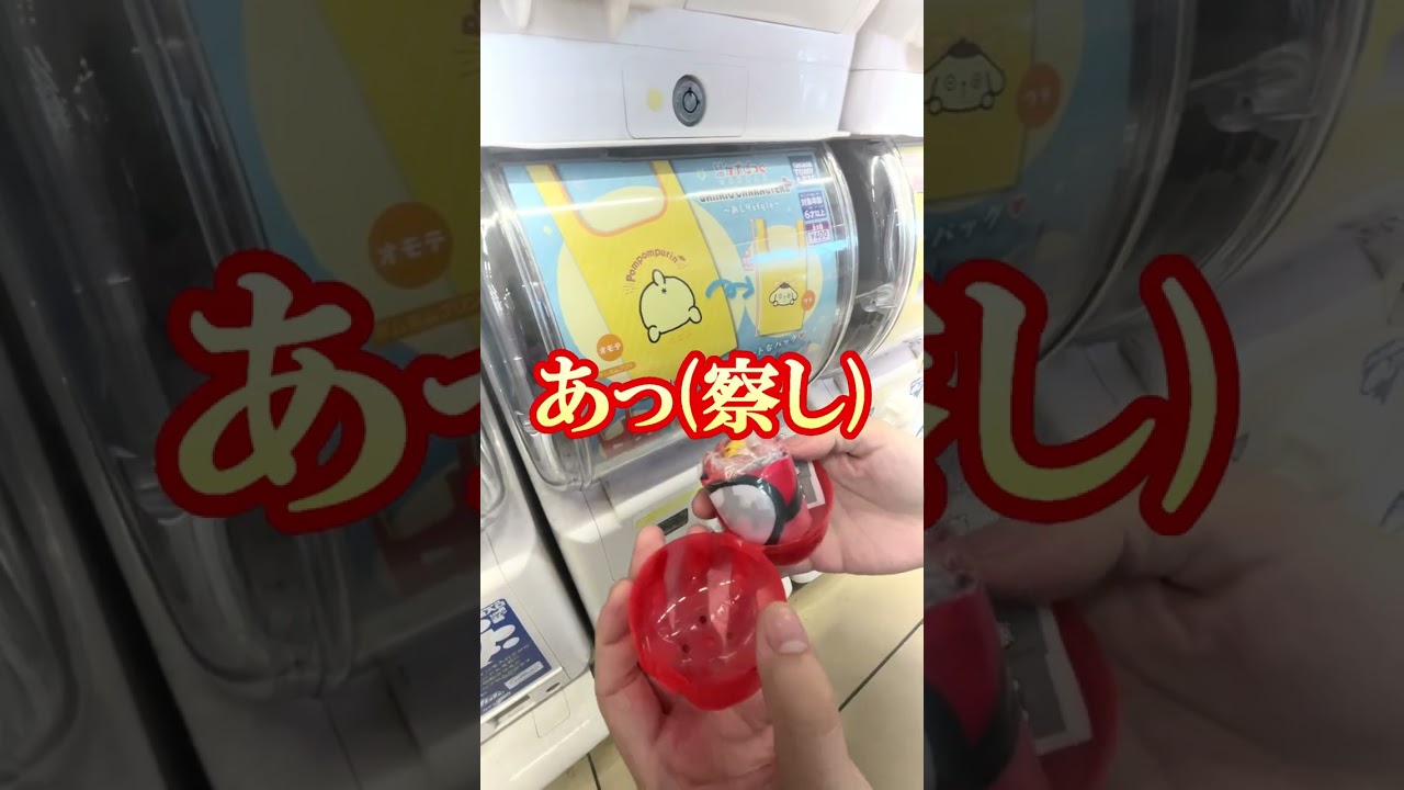 新作＊ガチャ！かぷばっぐのプリンくん出るまで回し続ける!!【サンリオ】