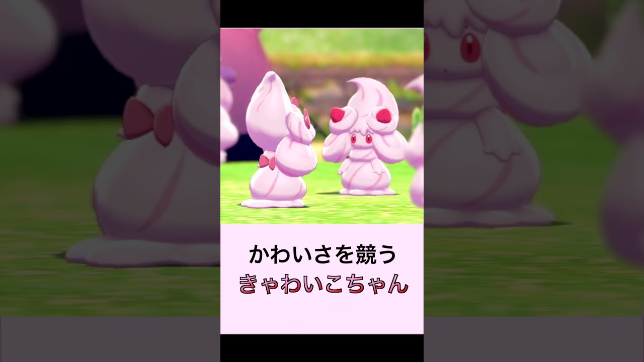 かわいさを競うきゃわいこちゃん【劇団マホイップ】#shorts