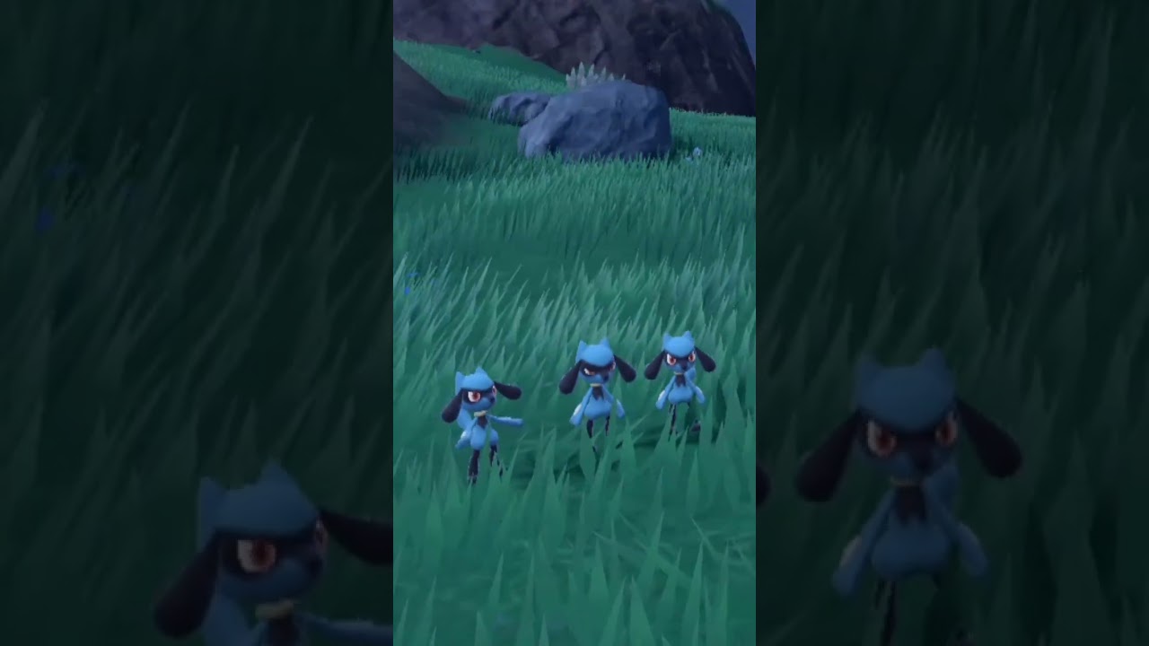 [ポケモンSV] リオル三兄弟、三重奏。 [ポケットモンスタースカーレット] #Shorts #ポケモンsv #ポケットモンスタースカーレット #ポケットモンスターバイオレット