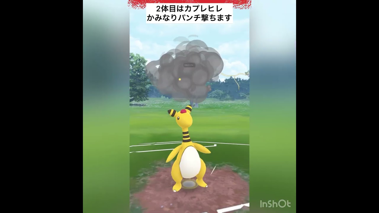 デンリュウ使ってみた‼️