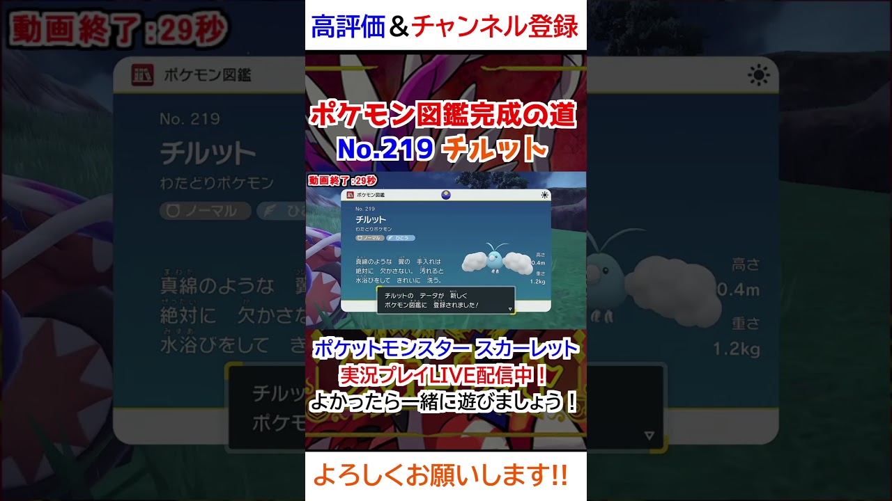 No 219 チルット図鑑登録完了！【ポケモンSV】