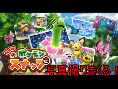 【Newポケモンスナップ】そろそろネイティが撮りたいよ【ポケモンスナップ実況プレイ】