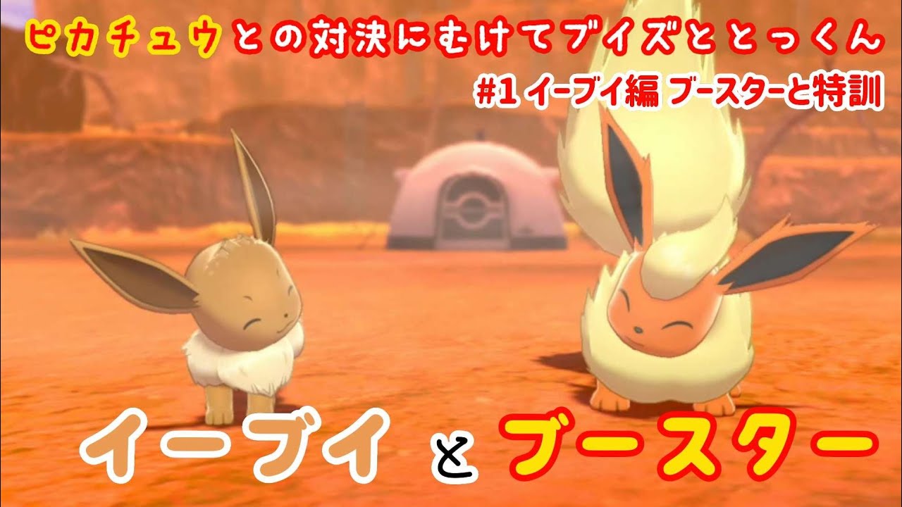イーブイとブースター♪ イーブイ ブースター ピカチュウ 【ピカVSブイ】