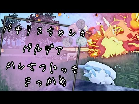 【ポケモンSV】パチリスちゃんのパルデアかんさつにっき【よっかめ】